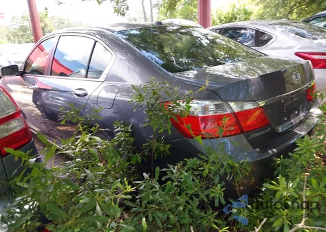 2013 Honda Accord Ex-L z USA, uszkodzony, nr VIN 1HGCR2F8XDA009981